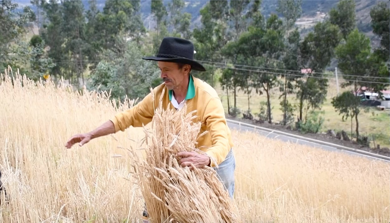 Mercados de nuestra tierra