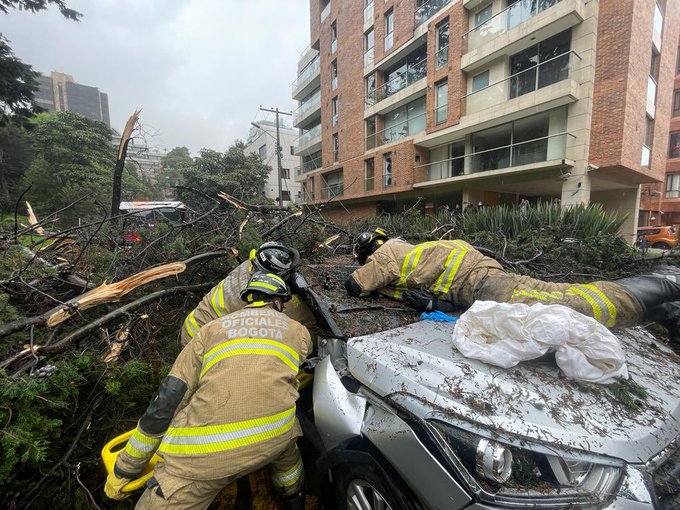 Emergencia: cinco heridos tras caída de un árbol y un poste, en el norte de Bogotá