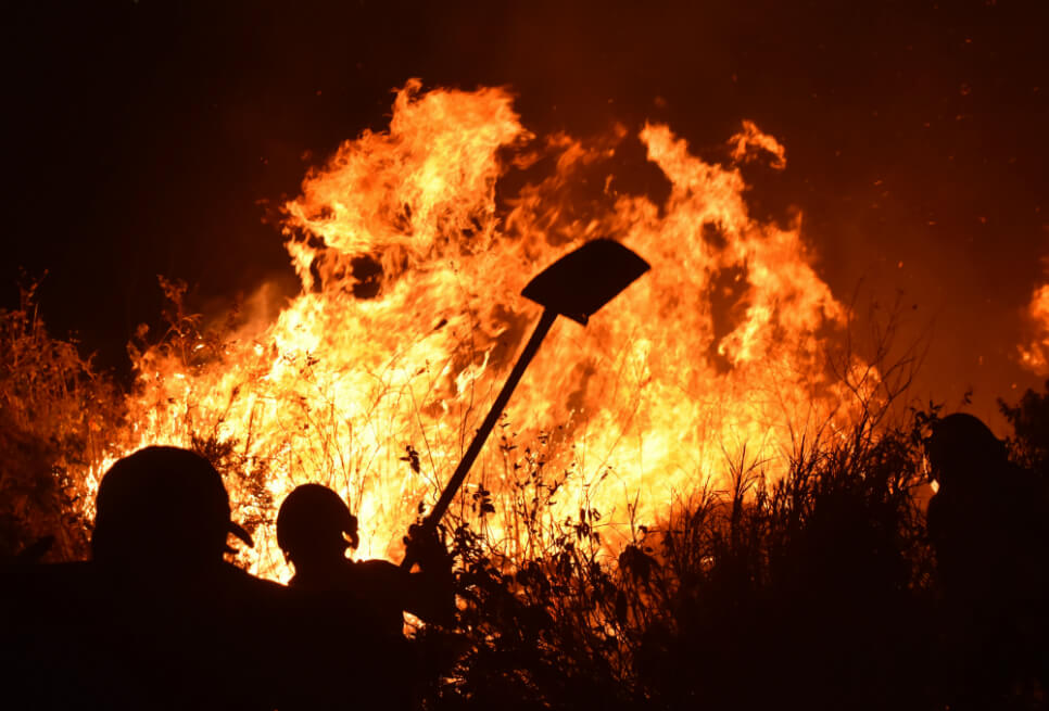 Controlan incendio forestal en cerro Cristo Rey de Cali