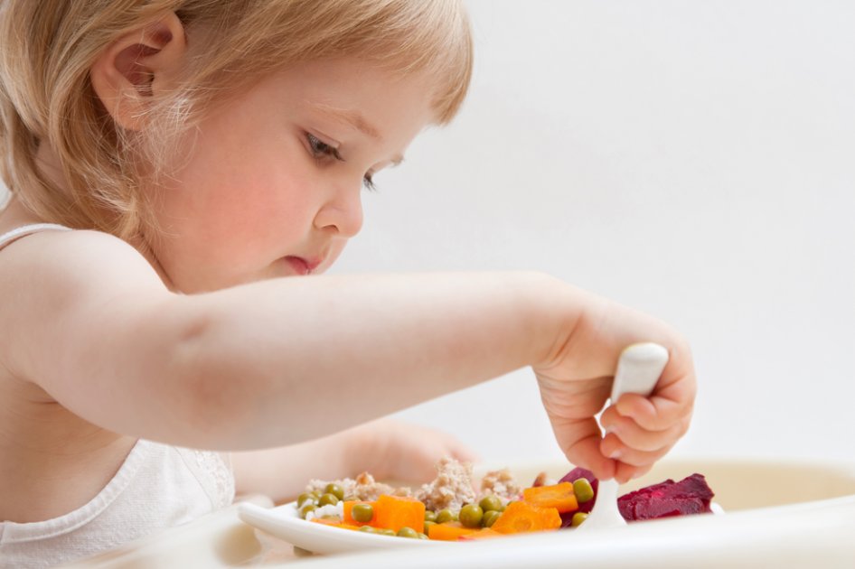 Los alimentos que debe consumir su hijo según cada etapa