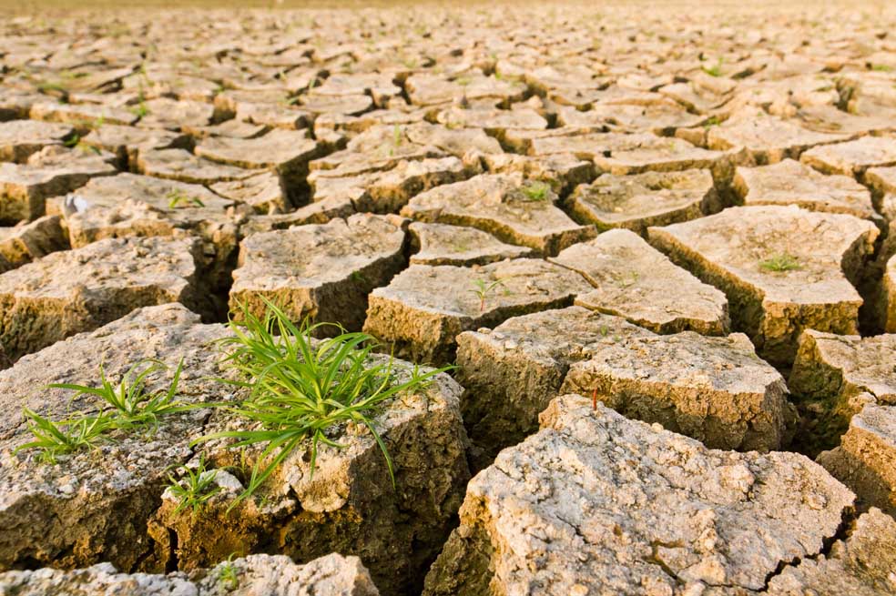 Al borde del riesgo climático