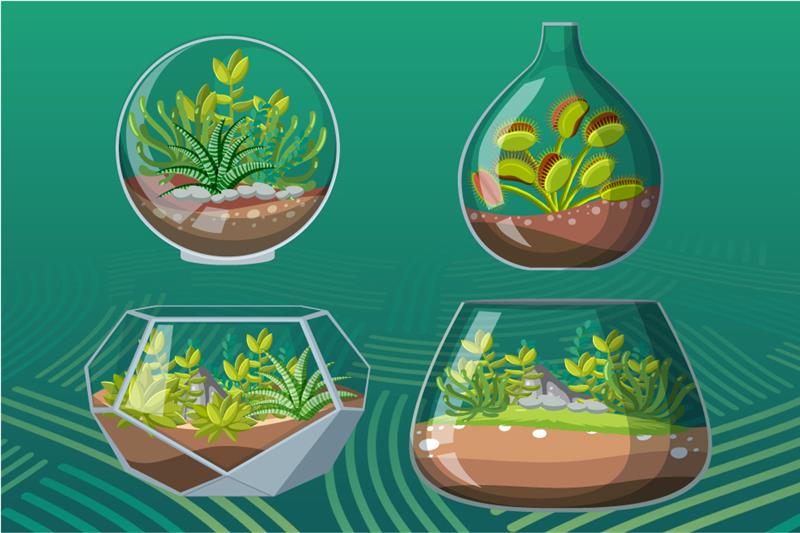 Terrarios: mini jardines en frasco donde la naturaleza encuentra su equilibrio