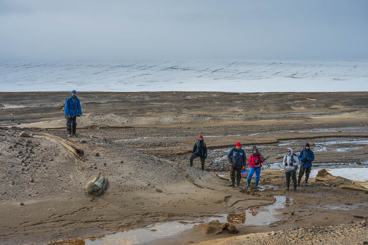 Los científicos estudian el ritmo en que se pierden grandes coberturas de hielo en el Ártico.