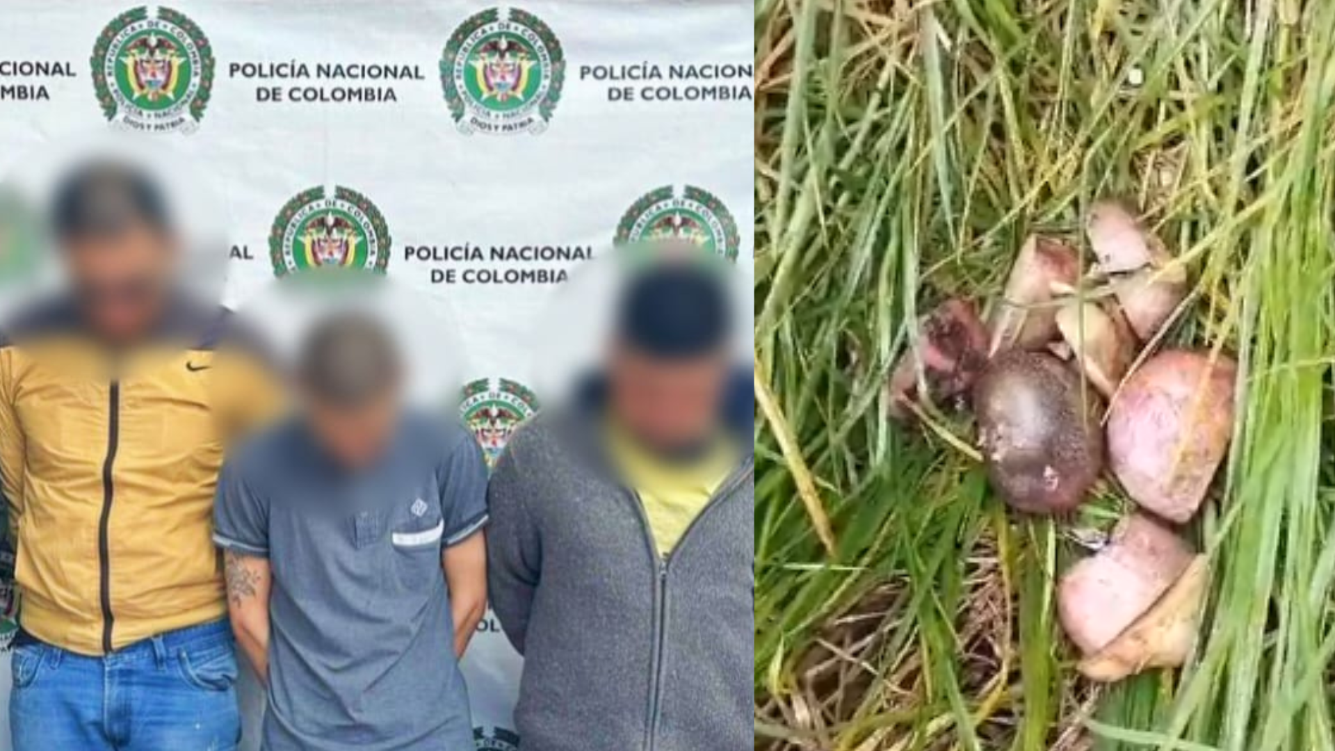 Cayó banda delincuencial que hurtaba con papas vehículos de alta gama