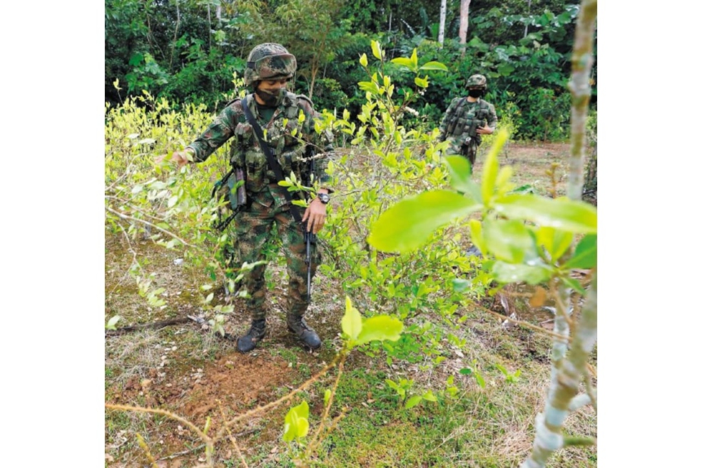 “Medir el problema del narcotráfico en hectáreas cultivadas es un error”: Adam Isacson