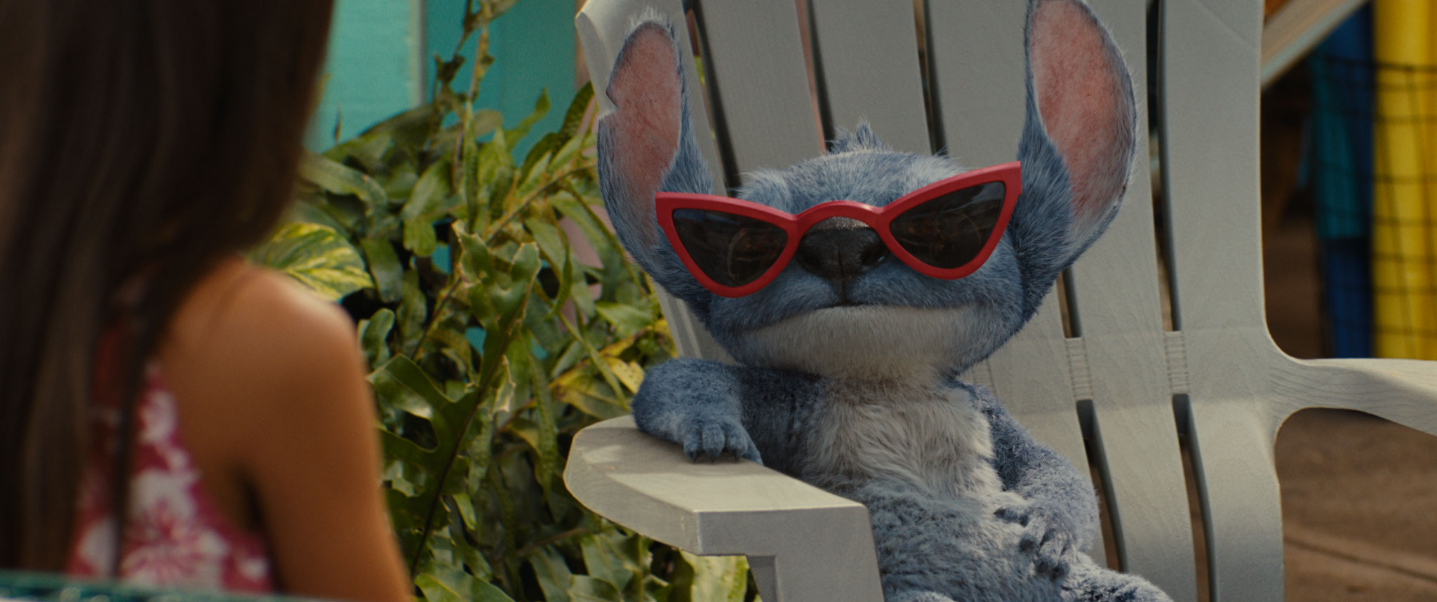 El amor no basta: lo que implica adoptar a un “Stitch” en la vida real