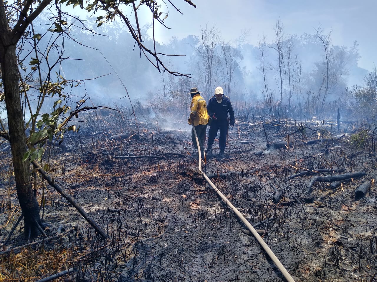 En fotos: incendio forestal en el área protegida Vía Parque Isla de Salamanca