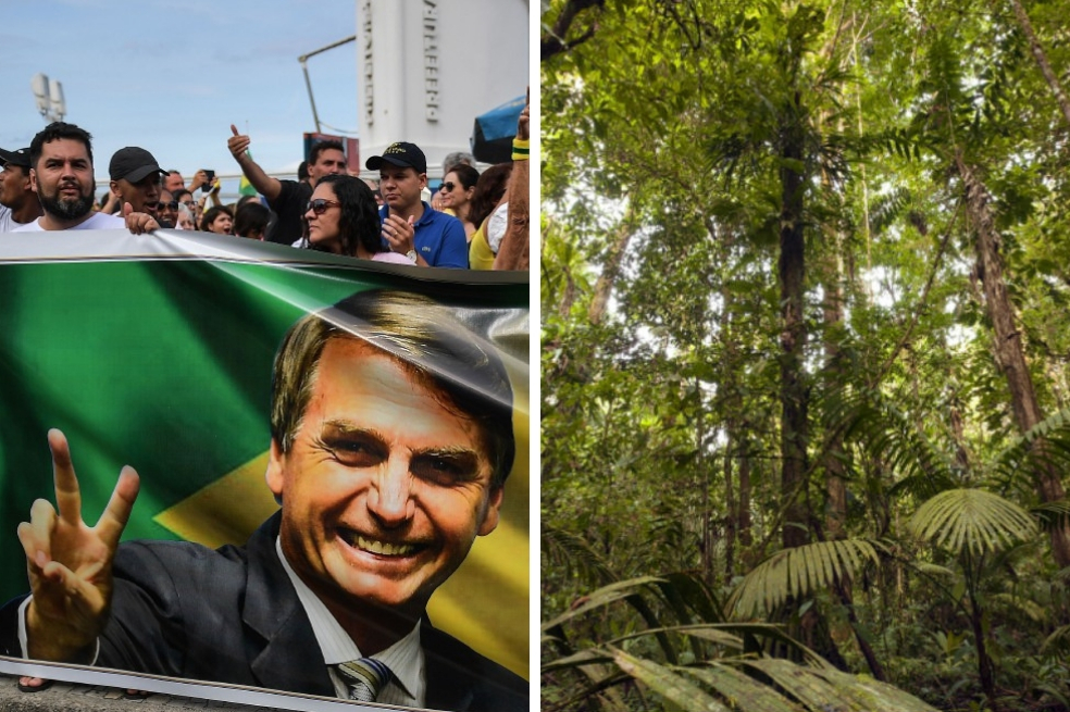 El Ministerio de Ambiente de Brasil será fusionado con el de Agricultura
