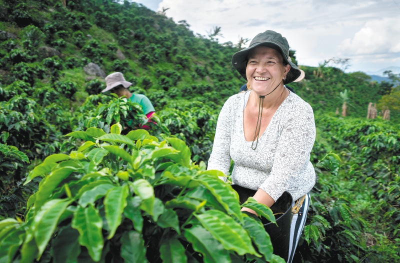 ¿Por qué el Eje Cafetero es un destino imperdible para los amantes del café?