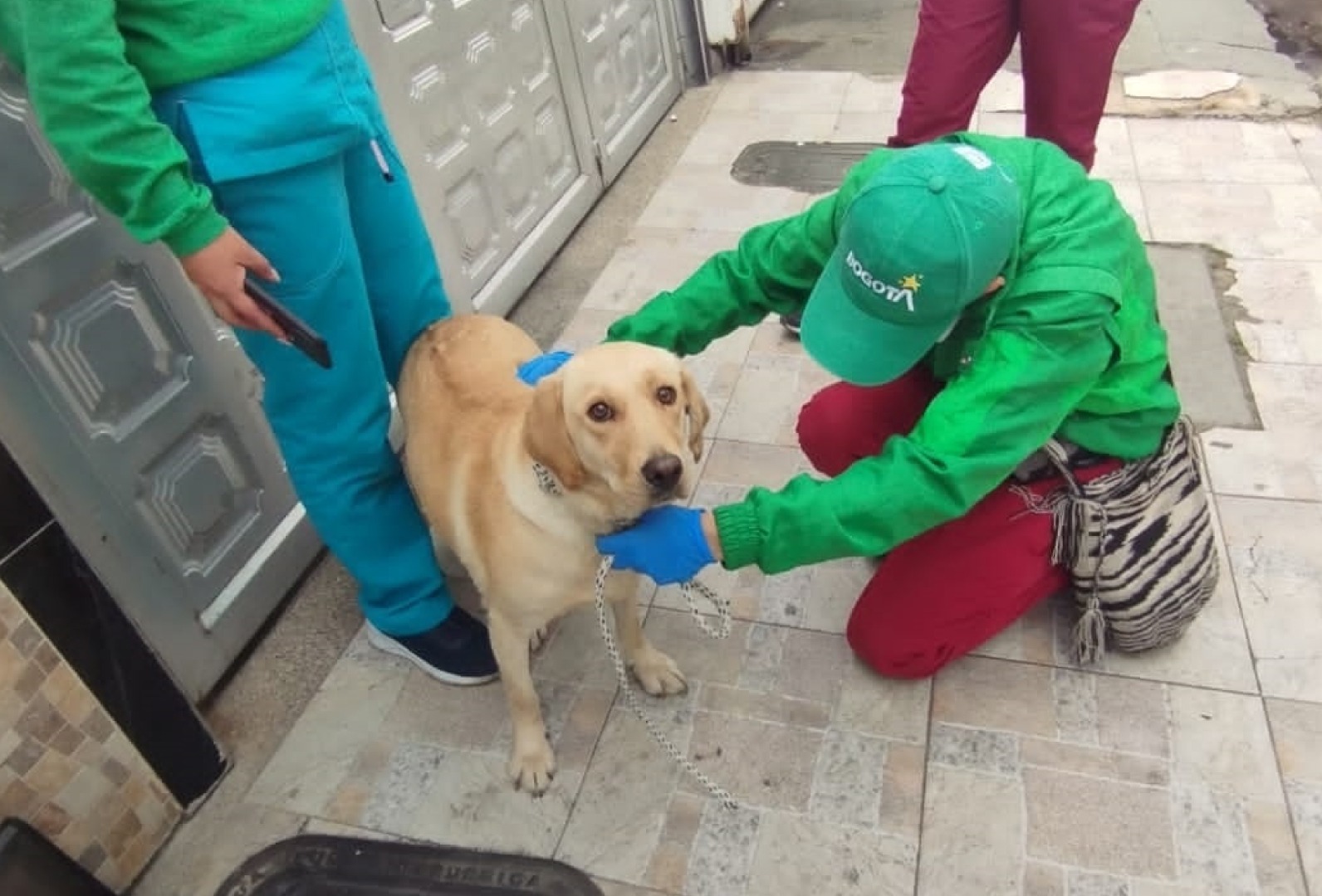 Autoridades investigan muerte de Limonar, el perro que prestaba servicios en El Dorado