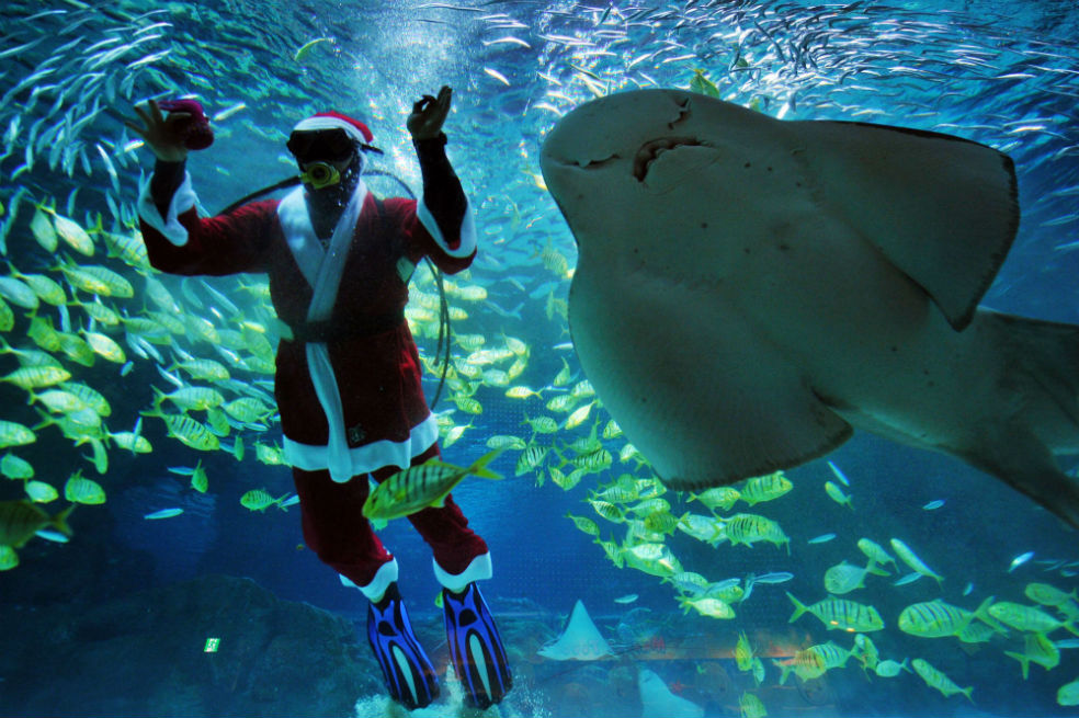 Papás Noel de todos los estilos se preparan para la nochebuena