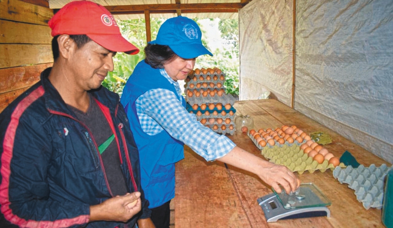 El proyecto “Huevo Feliz”, que produce 420 huevos diarios, es financiado por la cooperación sueca y en él trabajan 11 personas. / Misión de Verificación de la ONU