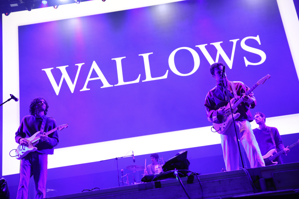 Wallows