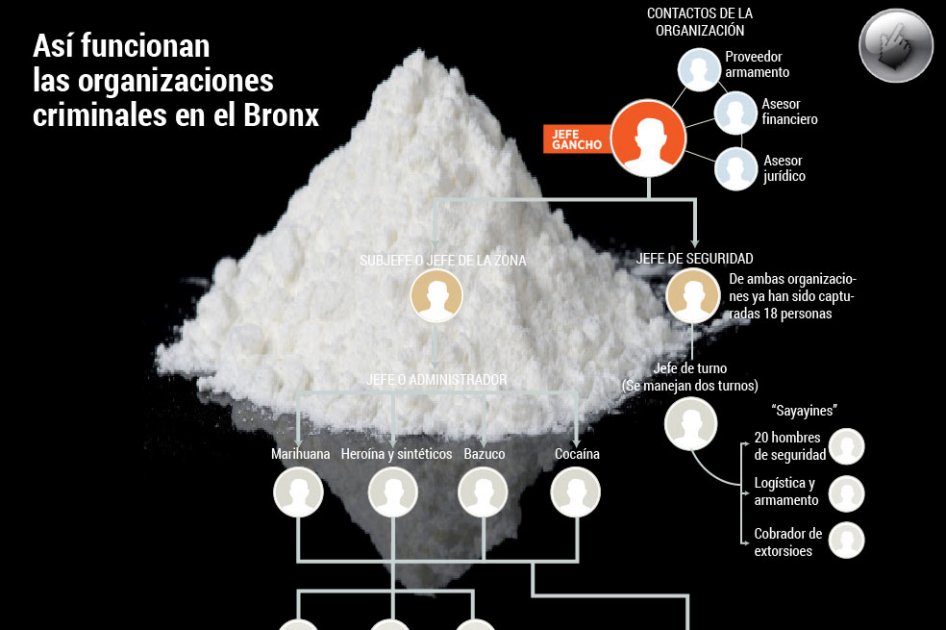 Así funcionan las organizaciones criminales en el Bronx
