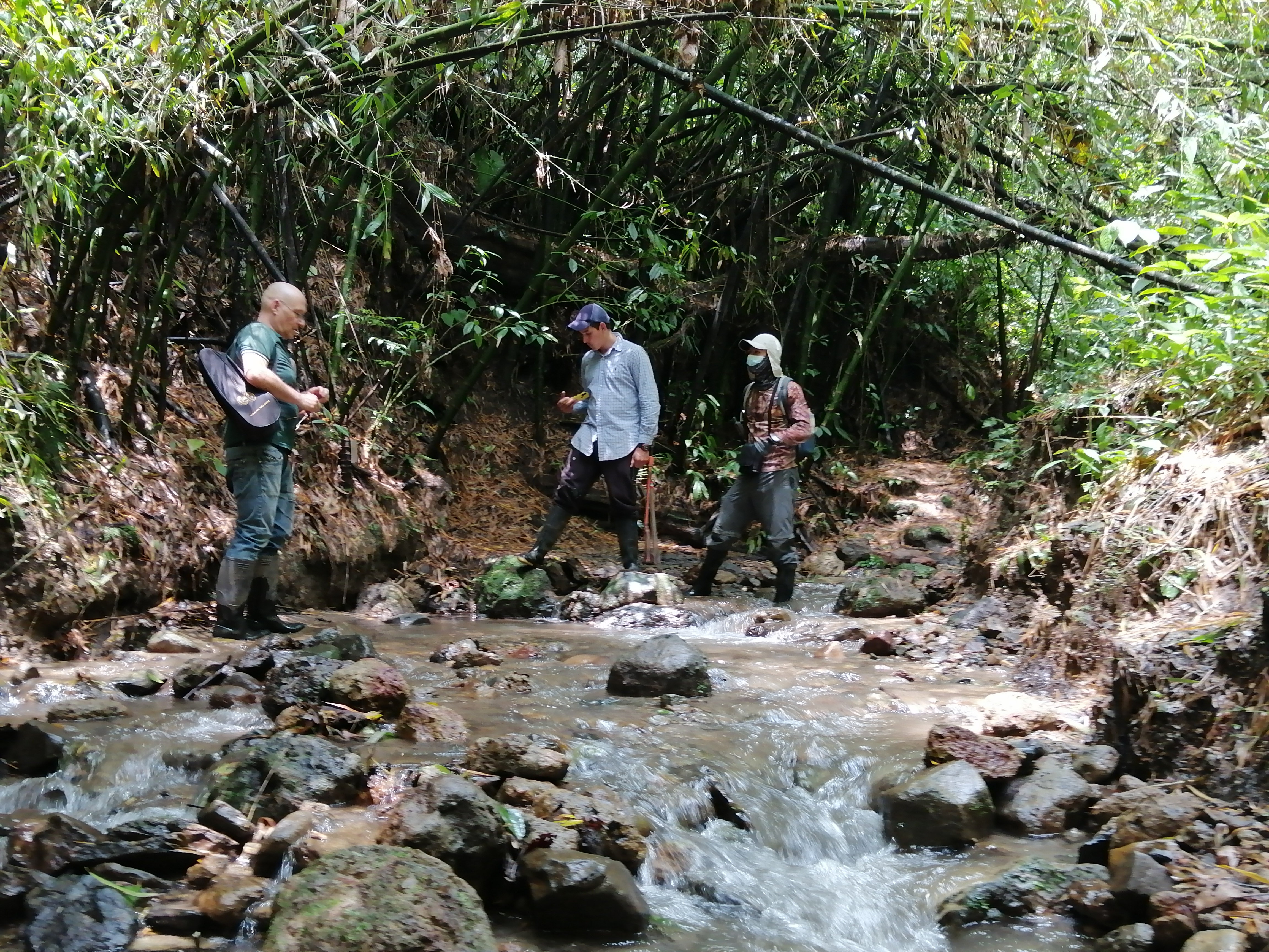 Restauración ecológica para la conservación del agua en Salento