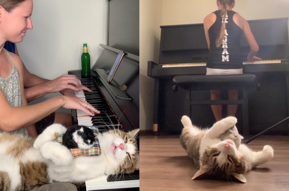 La tierna reacción de un gato al escuchar a su dueña tocar el piano