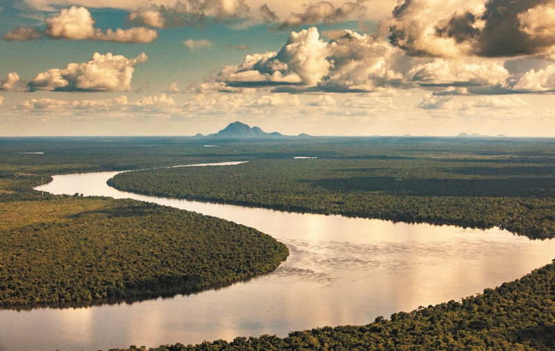 Travesía al límite de Colombia para salvar a los delfines de agua dulce