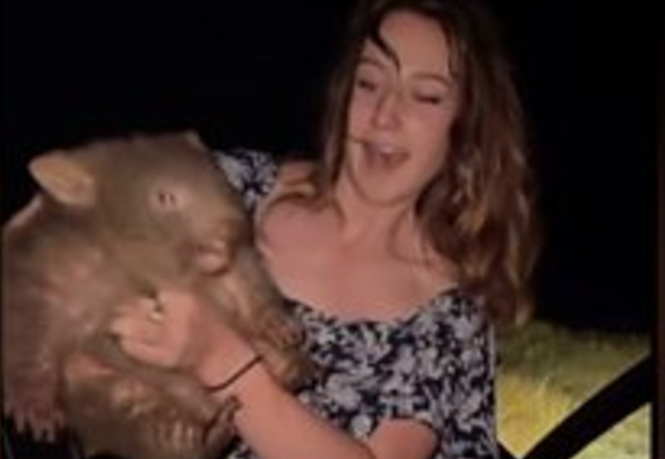 De viral a cancelada: influencer huye tras escándalo con bebé wombat en Australia