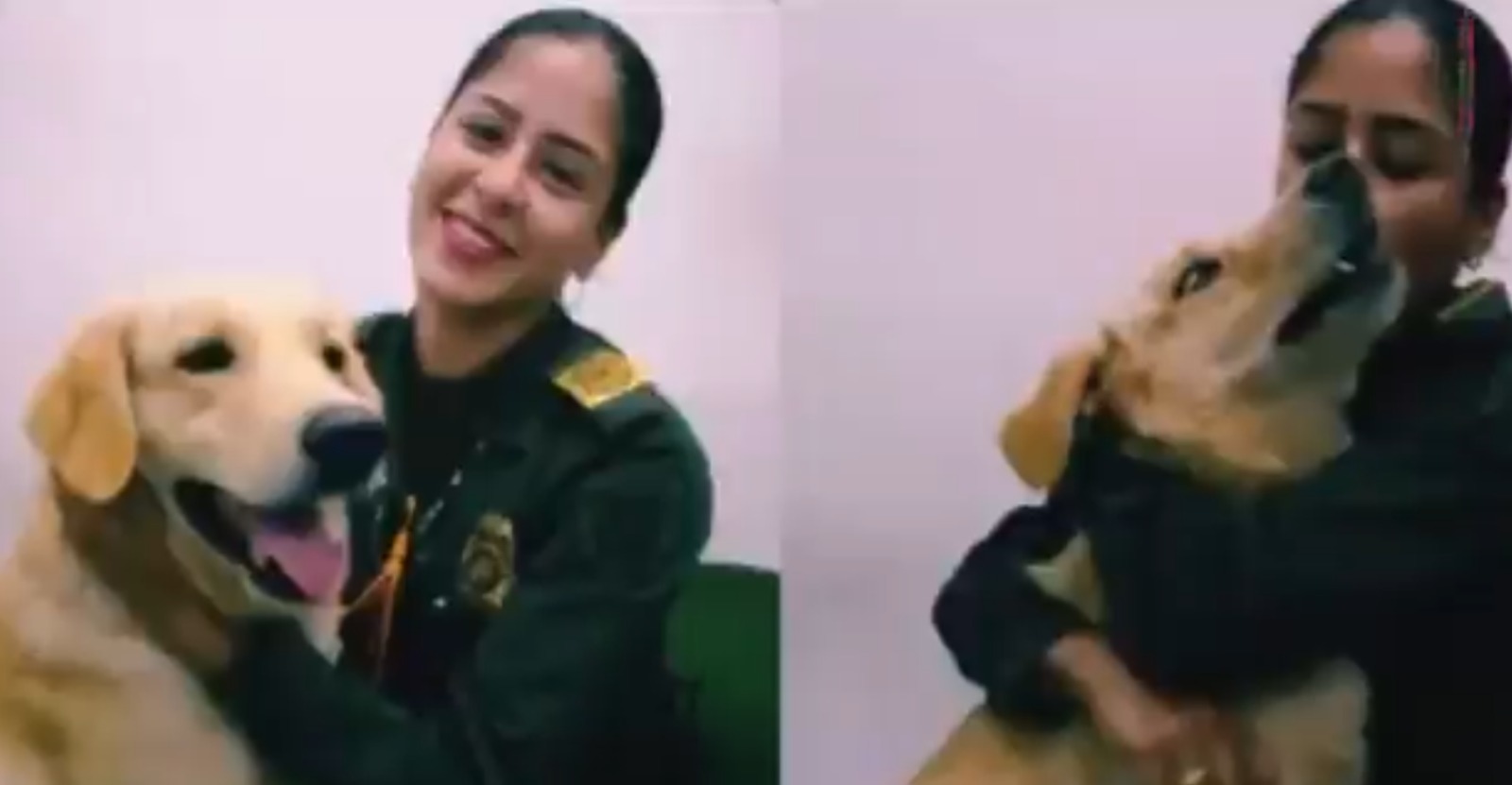 La emotiva despedida de Nex, el perro antiexplosivos que protegió a la comunidad