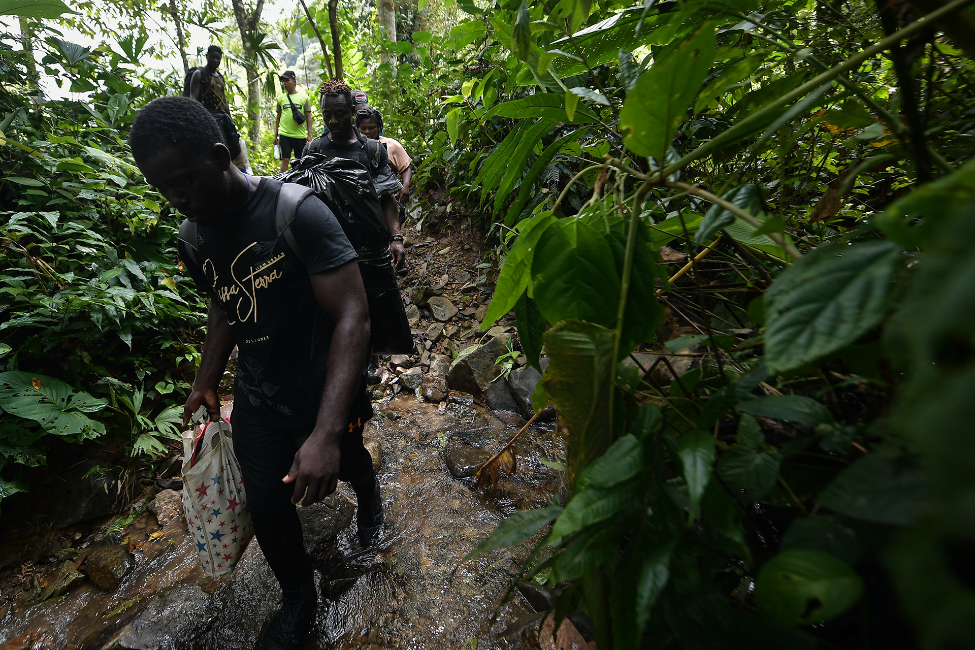 Tres personas caminan una tras otra entre la selva