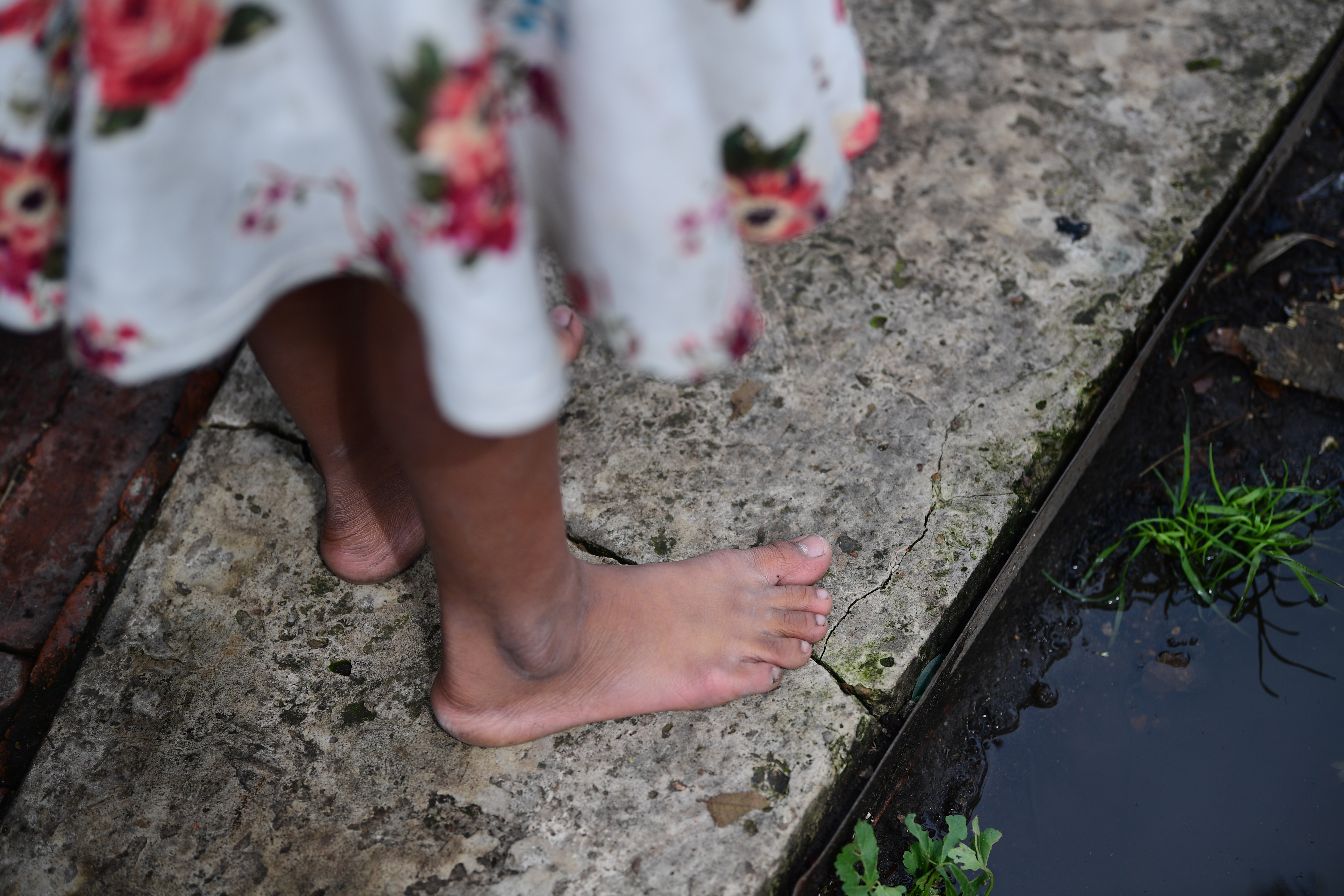 Comunidades indígenas del Bajo Baudó (Chocó) están confinadas por enfrentamientos