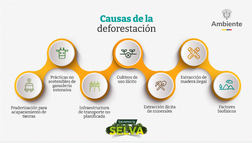 Balance de deforestación en Colombia 2023