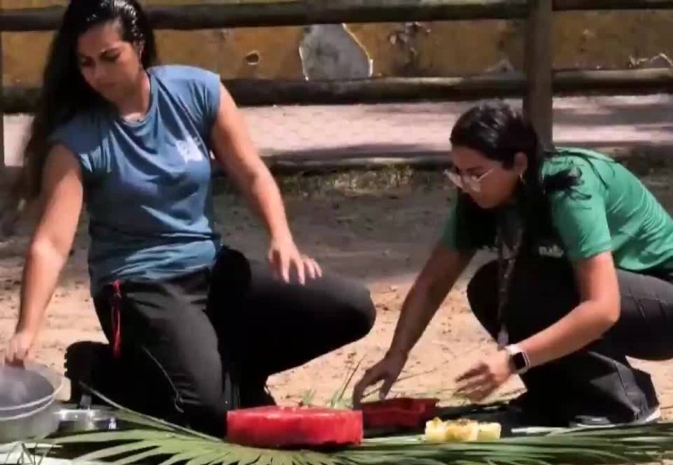 BioParque de Río de Janeiro alivia el calor con helados para sus animales