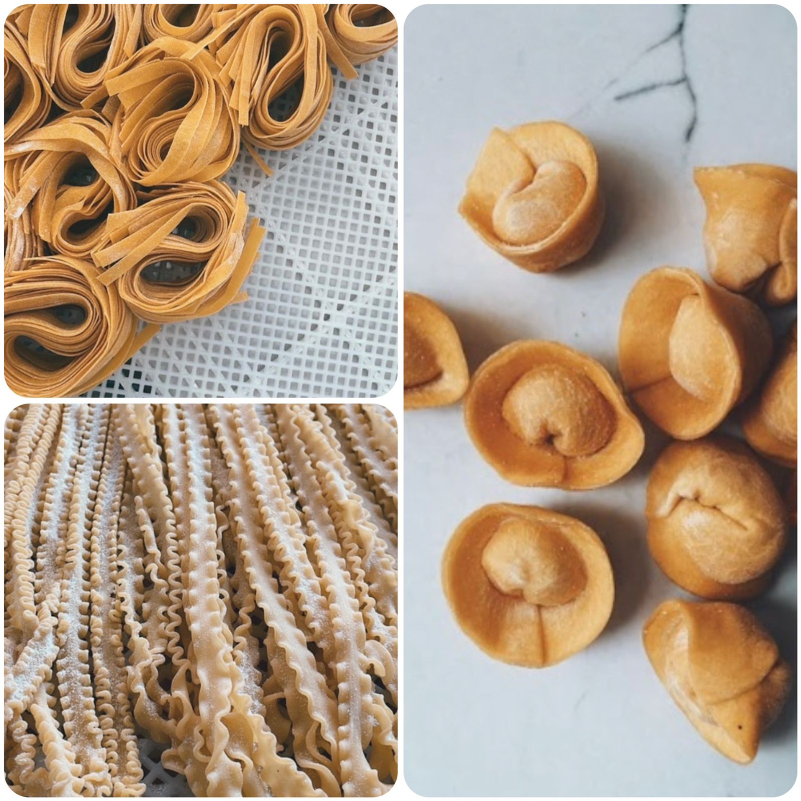 Pasta artesanal