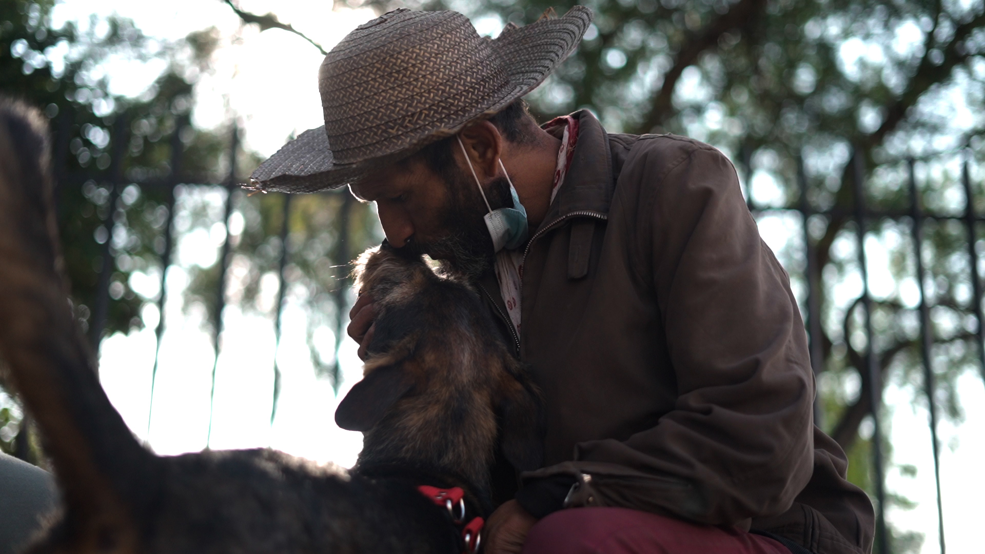 “Solo quiero cuidar mis perritos”: habitante de calle que pide no ser desalojado