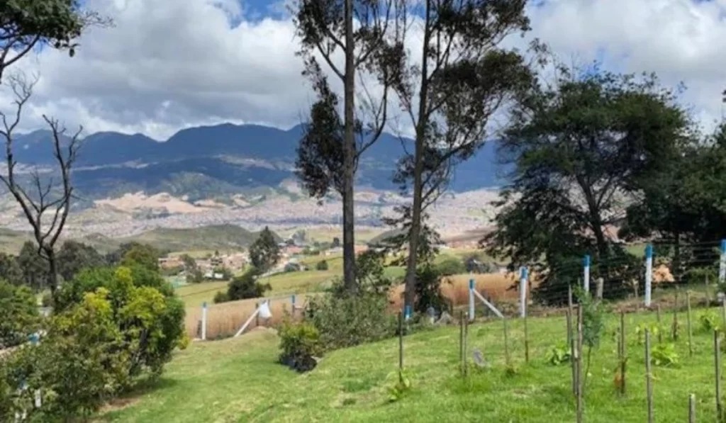 Calidad del aire mejoró en la ruralidad de Bogotá por las lluvias, confirmó la CAR