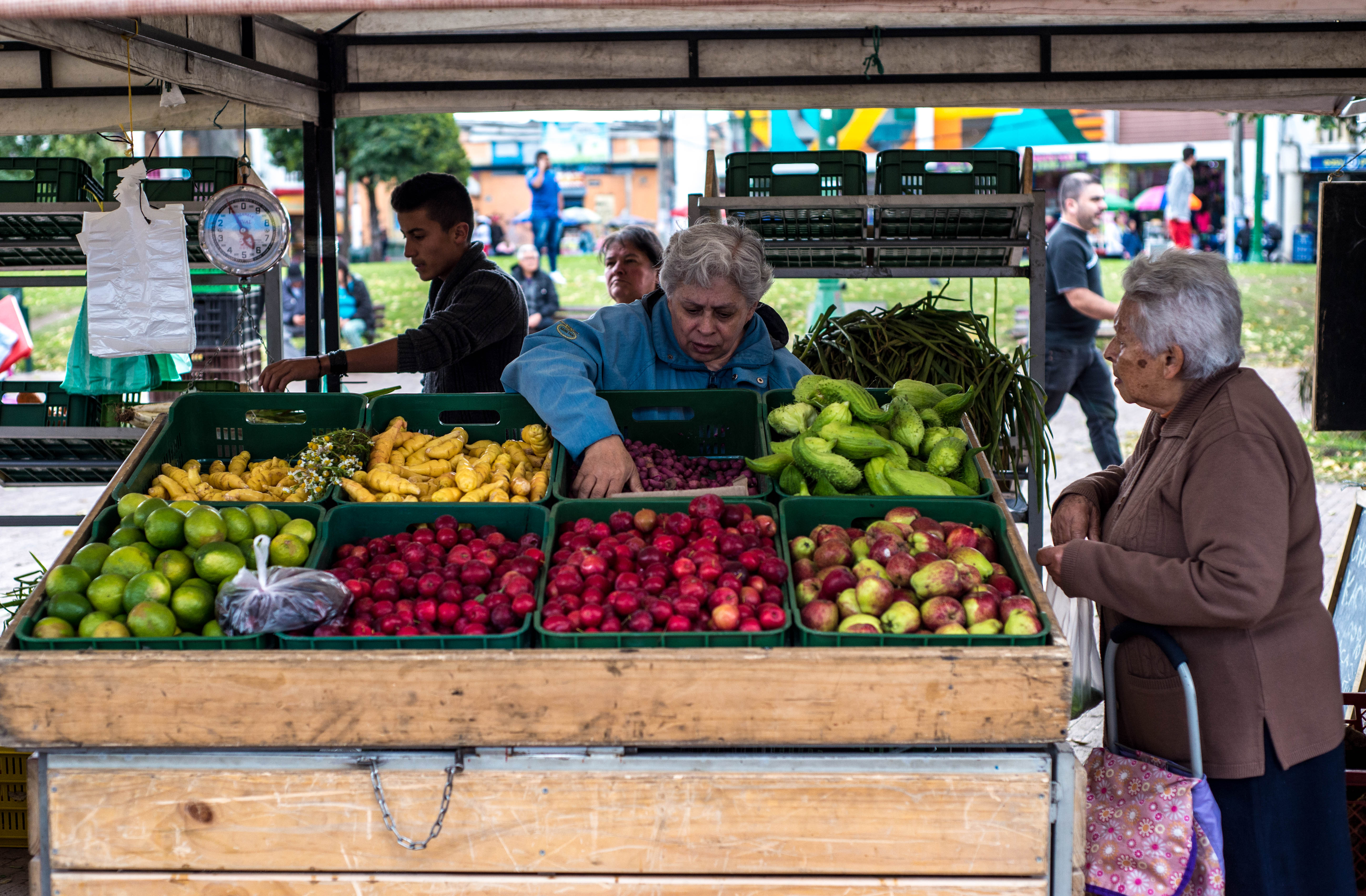 Mercados campesinos: del campo a la ciudad sin intermediarios