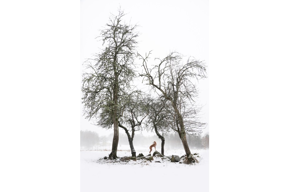 “Ilusión monocromática” | El tercer puesto también fue para Sanna Sander con la foto de su perra Soleil, en una nevada.