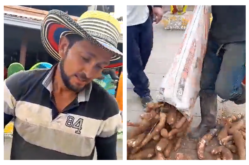 Campesino de Anorí tuvo que regalar su cultivo de yuca porque nadie se lo compró