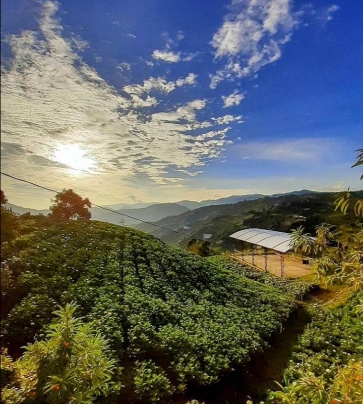 El Retiro, Antioquia: un paraíso de lujo, naturaleza e historia