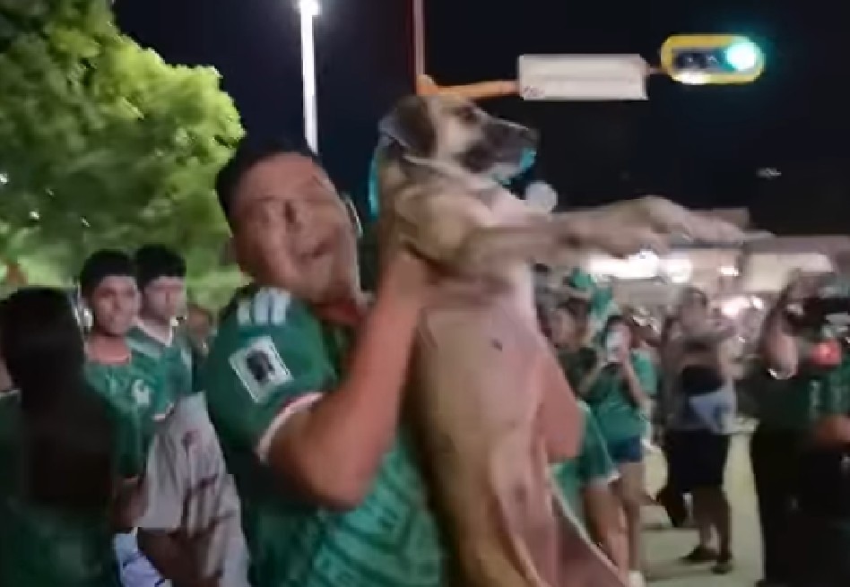 En video: perrita perdida hace un mes aparece en celebración del Mundial en México