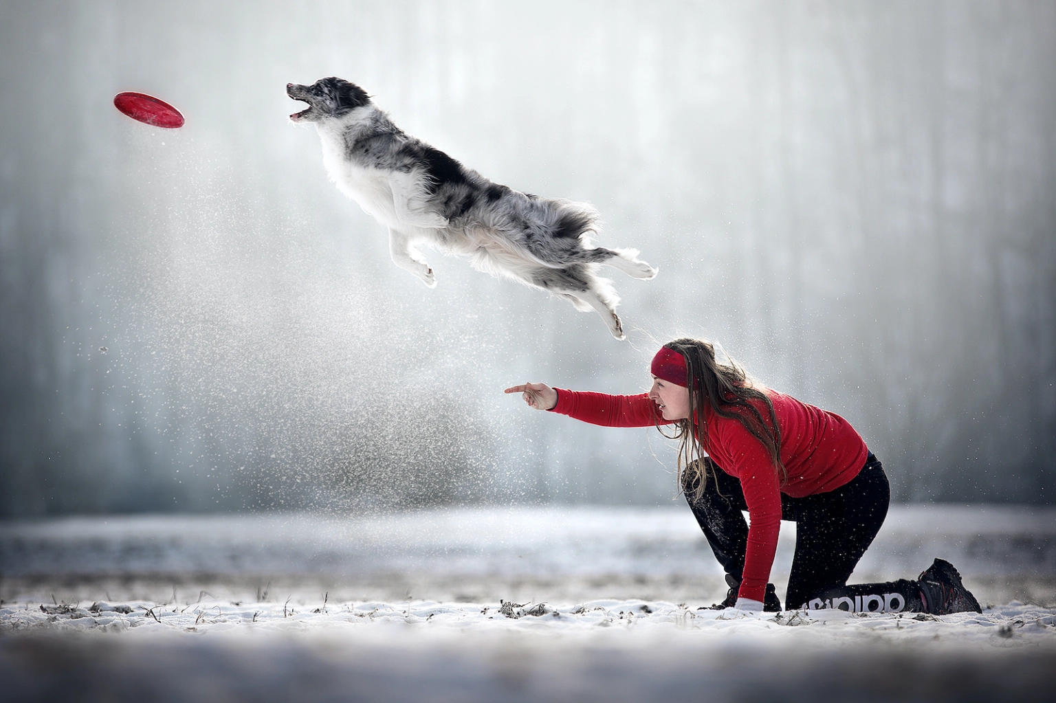 La fotógrafa Kjara Kocbek obtuvo el segundo puesto en esta competencia con esta hermosa imagen en plena acción de un pastor ovejero australiano en pleno salto mientras practicaba "disc dog" junto a su adiestradora en una mañana soledad y fría en Eslovenia.