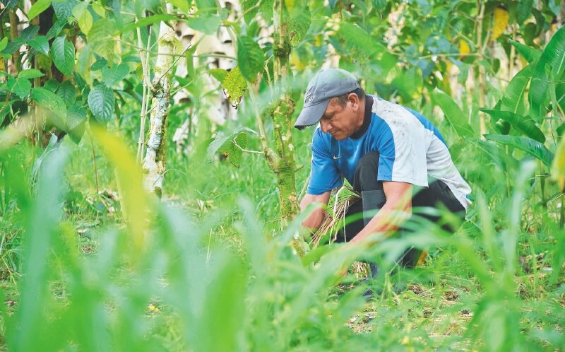 Buscan modernizar la estadística del agro