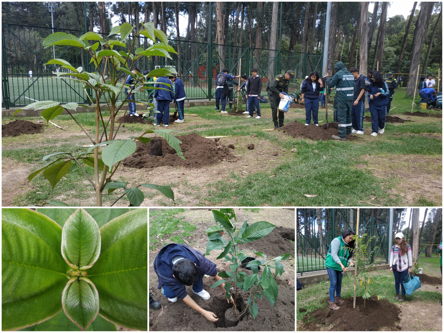 Es considerado uno de los pulmones verdes de Bogotá y está ubicado en Rafael Uribe Uribe