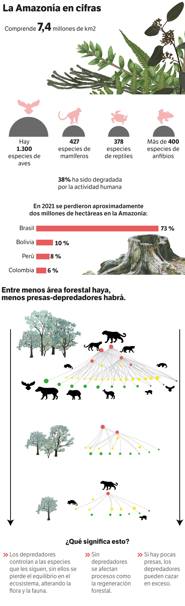 Relación depredadores-presas.