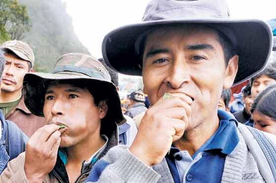 Bolivia, esperando respuesta de ONU sobre masticado de coca
