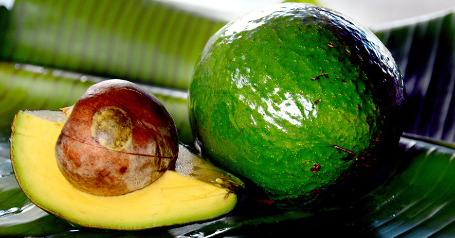 El aguacate, uno de los alimentos más completos del mundo
