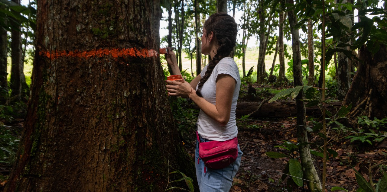 Una metodología para restaurar ecosistemas con jóvenes ganaderos