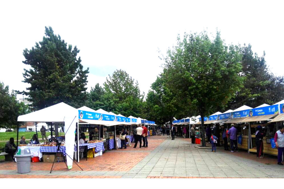 Mercado campesino vuelve a la Plaza de Bolívar con 600 productores de la Región Central