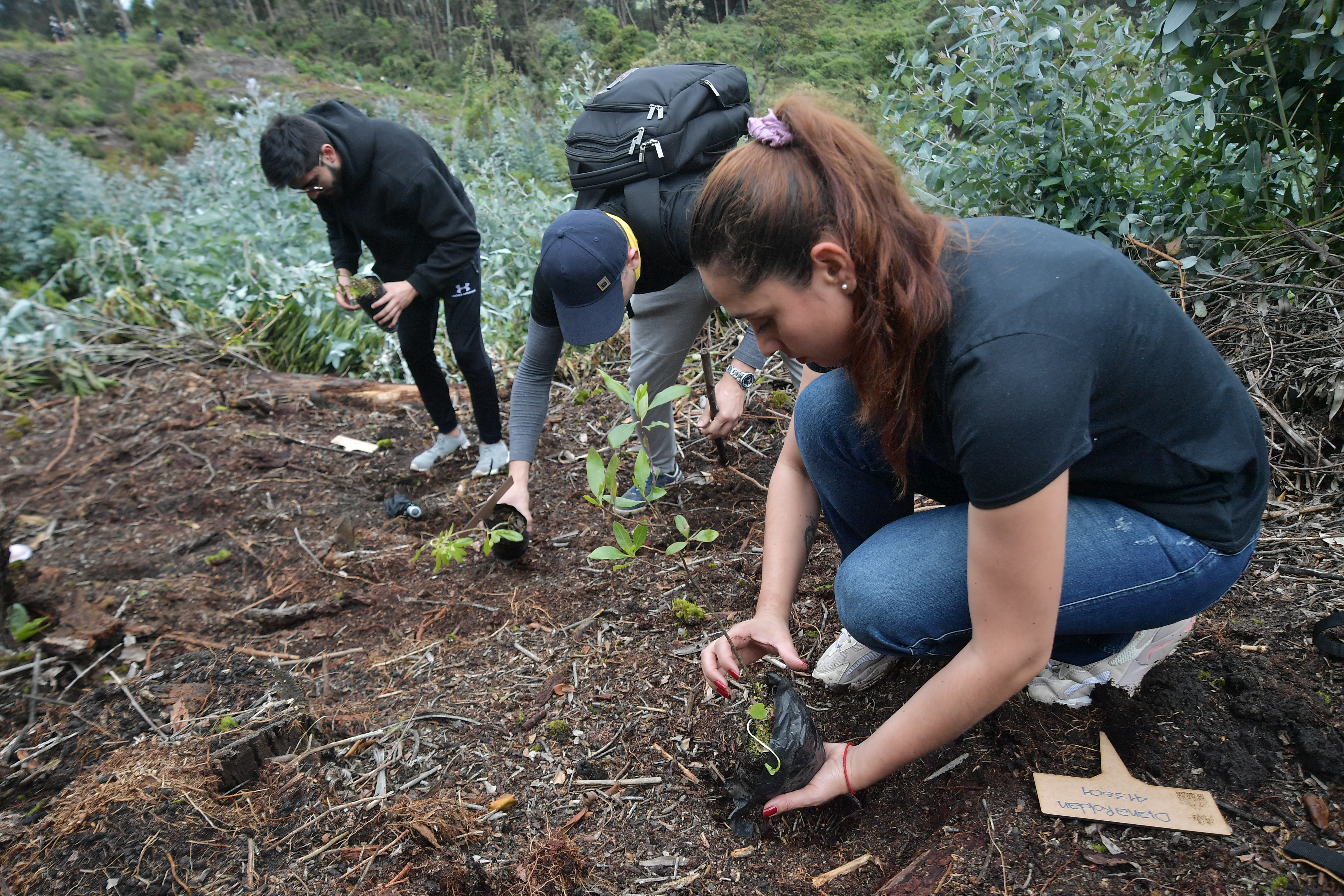 Estos colegios colombianos se convirtieron en un ejemplo en proteger la naturaleza