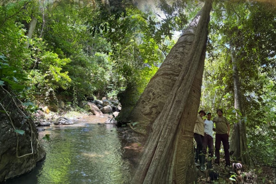 Estos dos pueblos lo llevan a descubrir la Serranía del Perijá en Colombia: ¿cómo llegar?