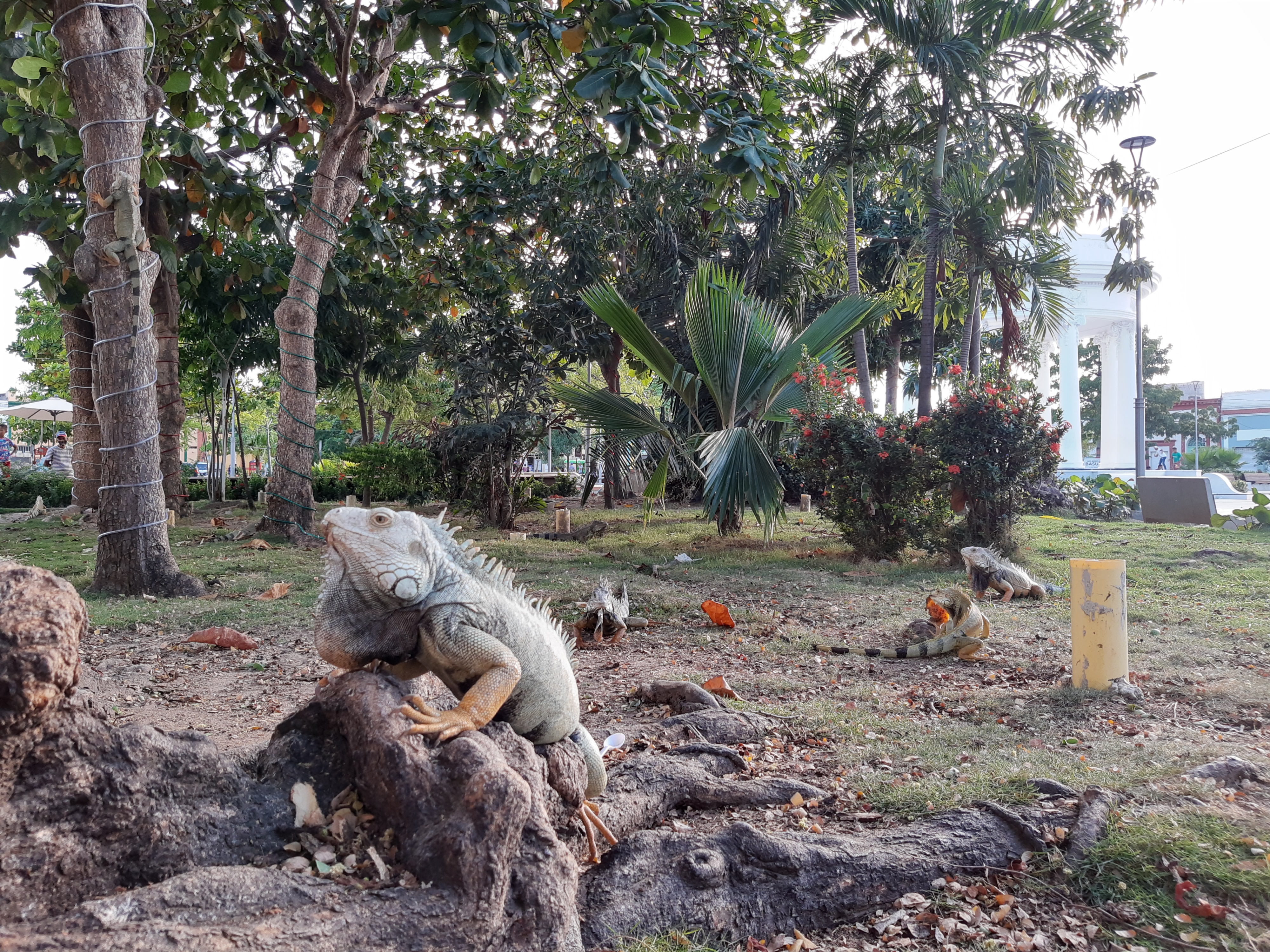 Ciénaga ofrece todos los elementos para ser considerado destino turístico de primera categoría.