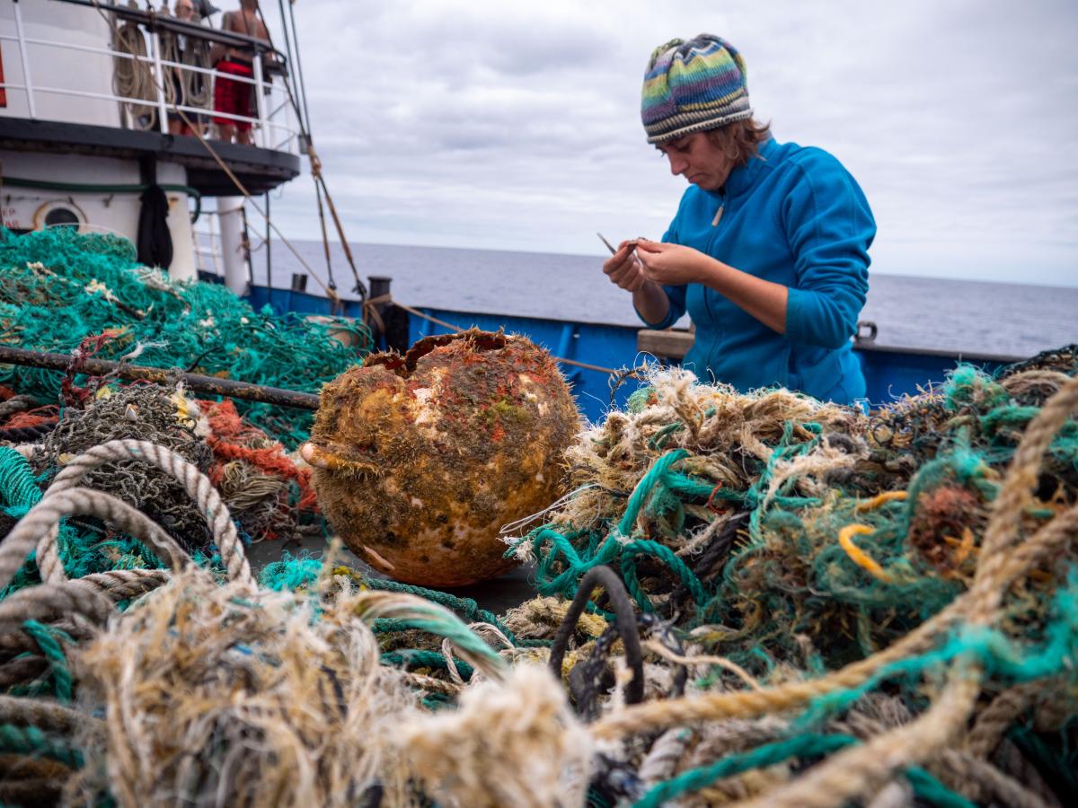 Animales y plantas viven en una isla de basura en el mar entre California y Hawái