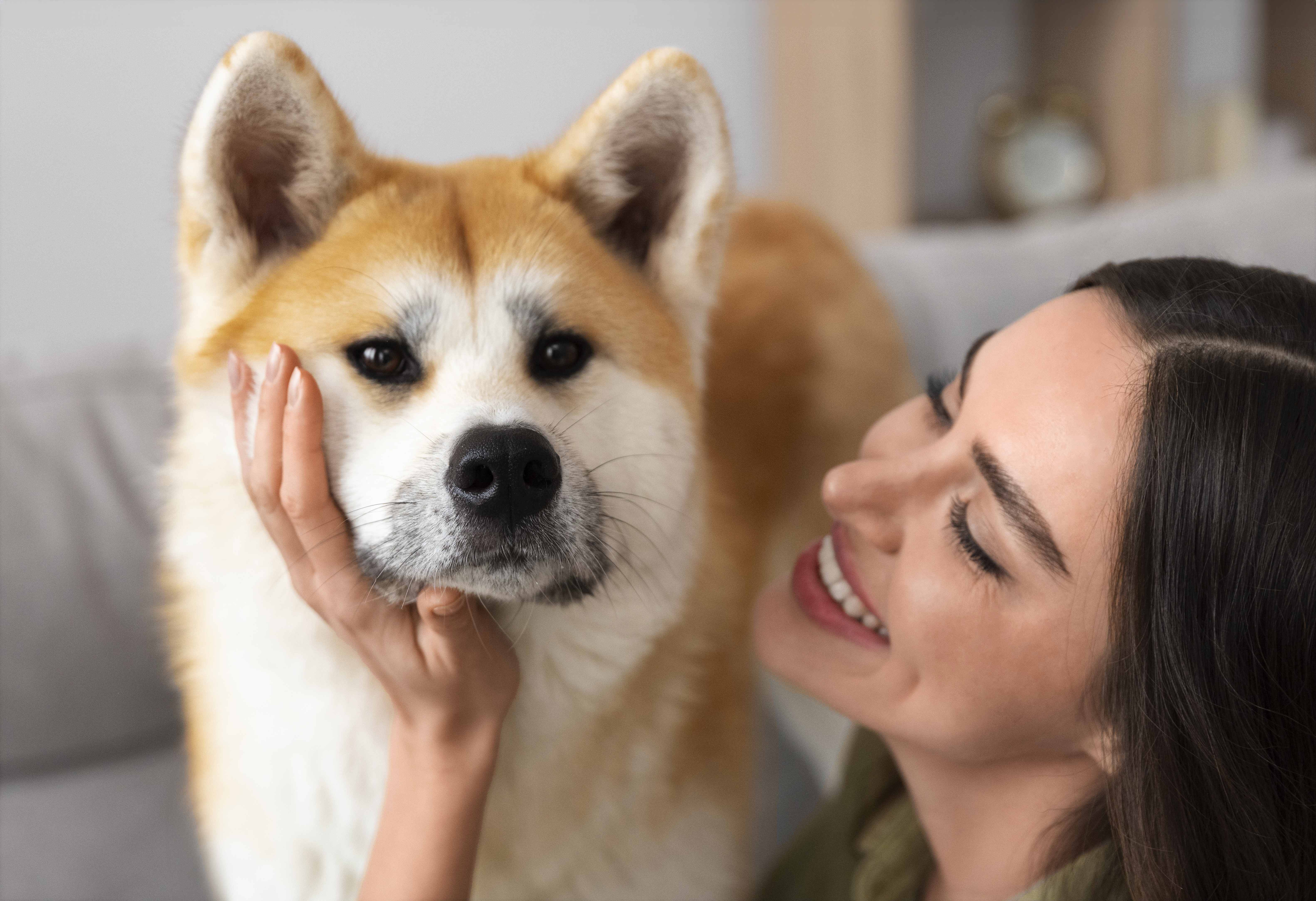 ¿Por qué a los perros no les gusta que les soplen?