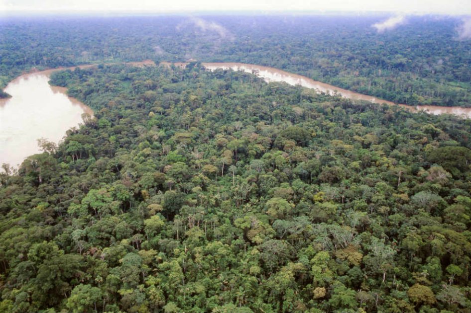 La defensa de la Amazonía, entre las preocupaciones del papa en Colombia