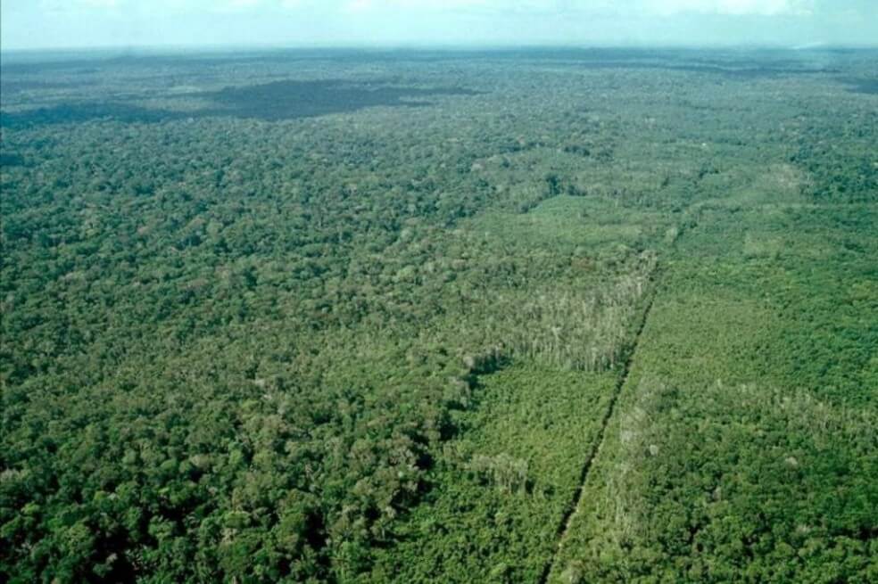 Confirman primer caso de COVID-19 en la frontera de Brasil con Colombia